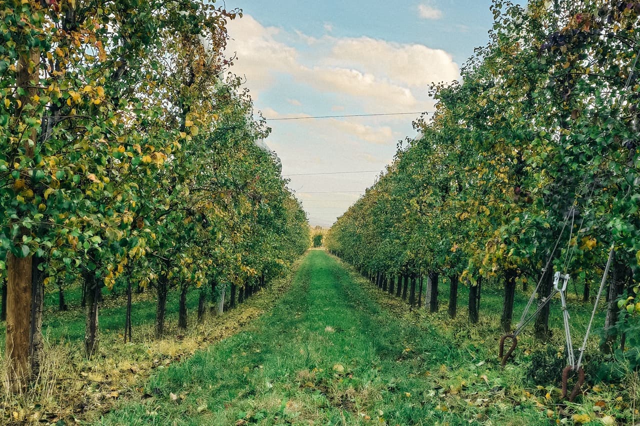 Cesta je cíl — High-endová výroba. Řemeslný mindset.
