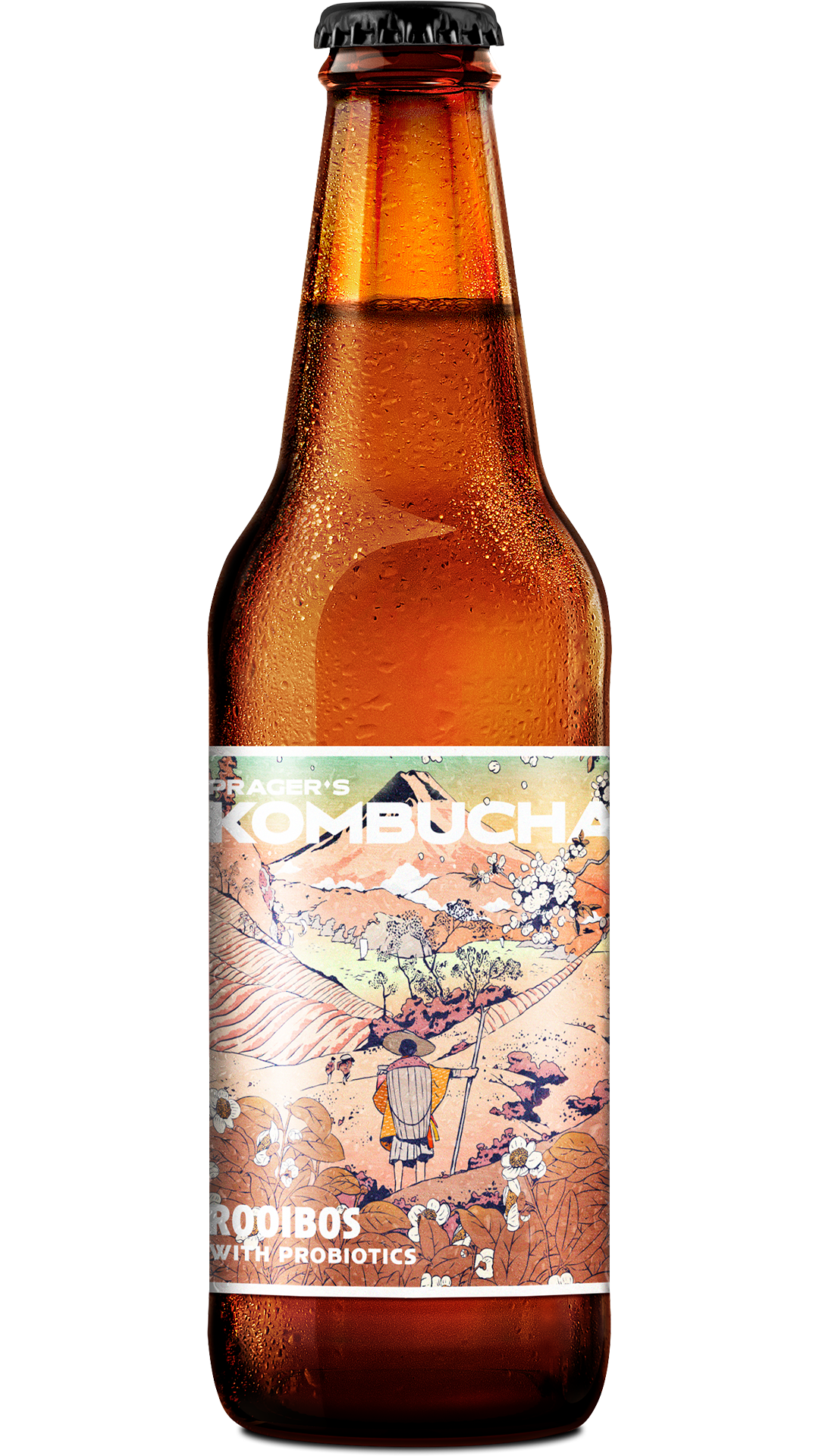 Lahev Pragers Kombucha