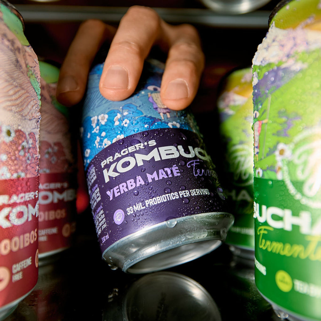 KOMBUCHA MIXPACK