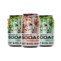 LECTURE PACK – SODA