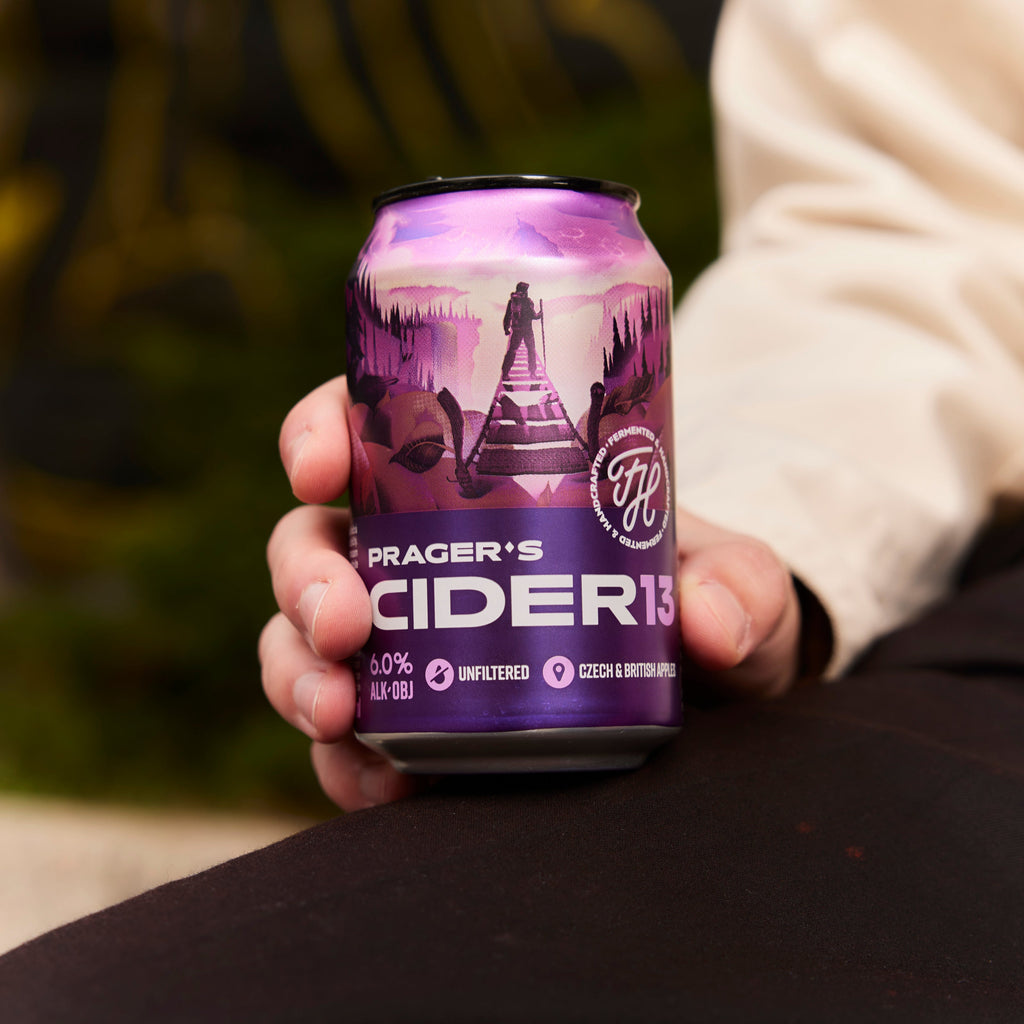 CIDER 13