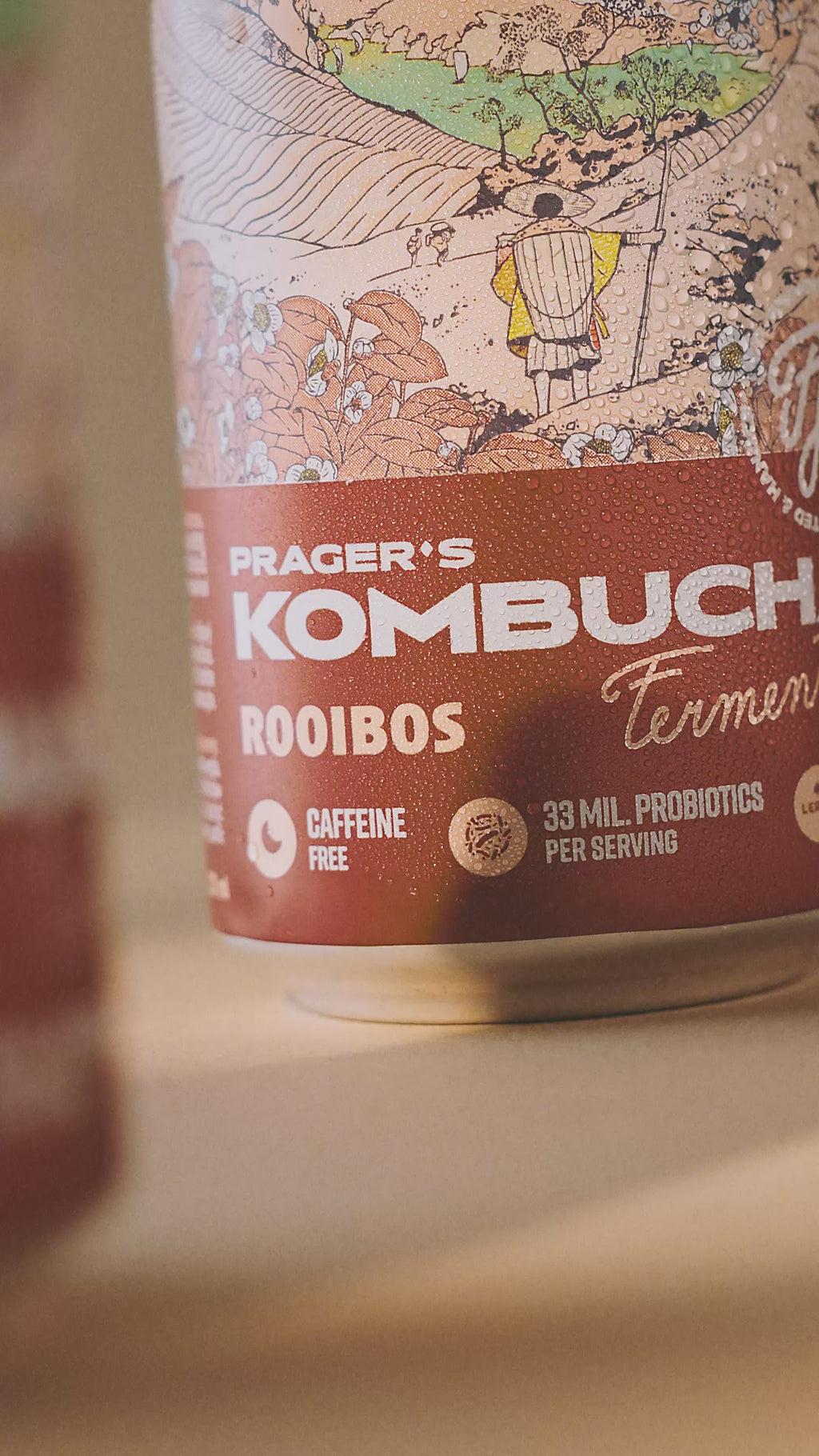 KOMBUCHA ROOIBOS
