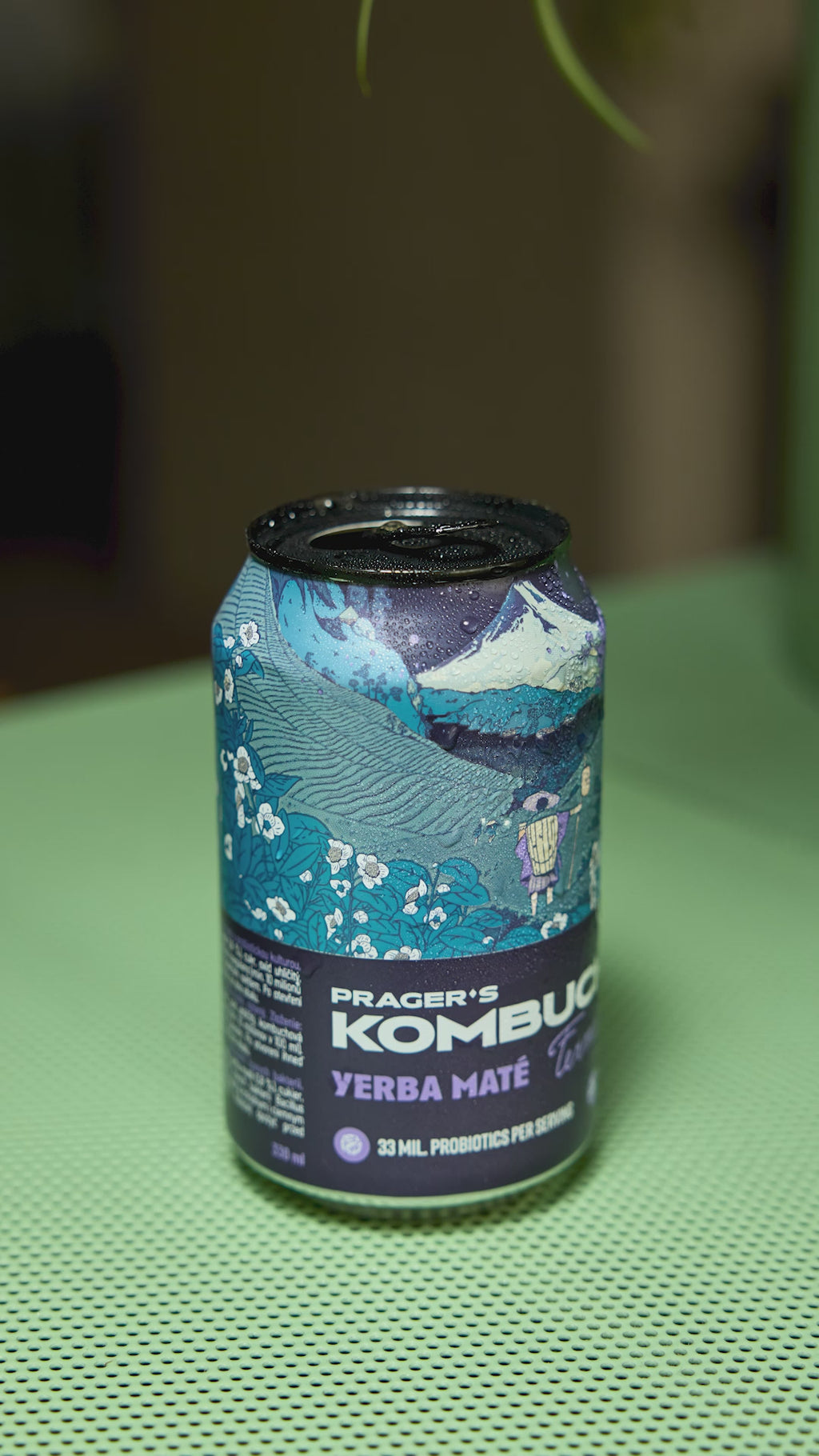 KOMBUCHA YERBA MATÉ